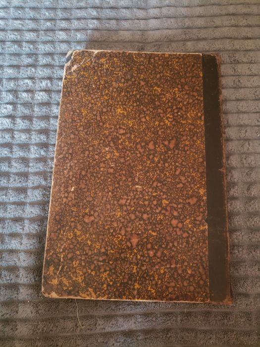 Белинский, 1896 год, первый том