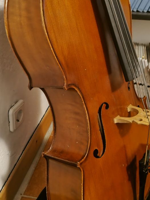 Violoncelo 1/2 Carlo Giordano