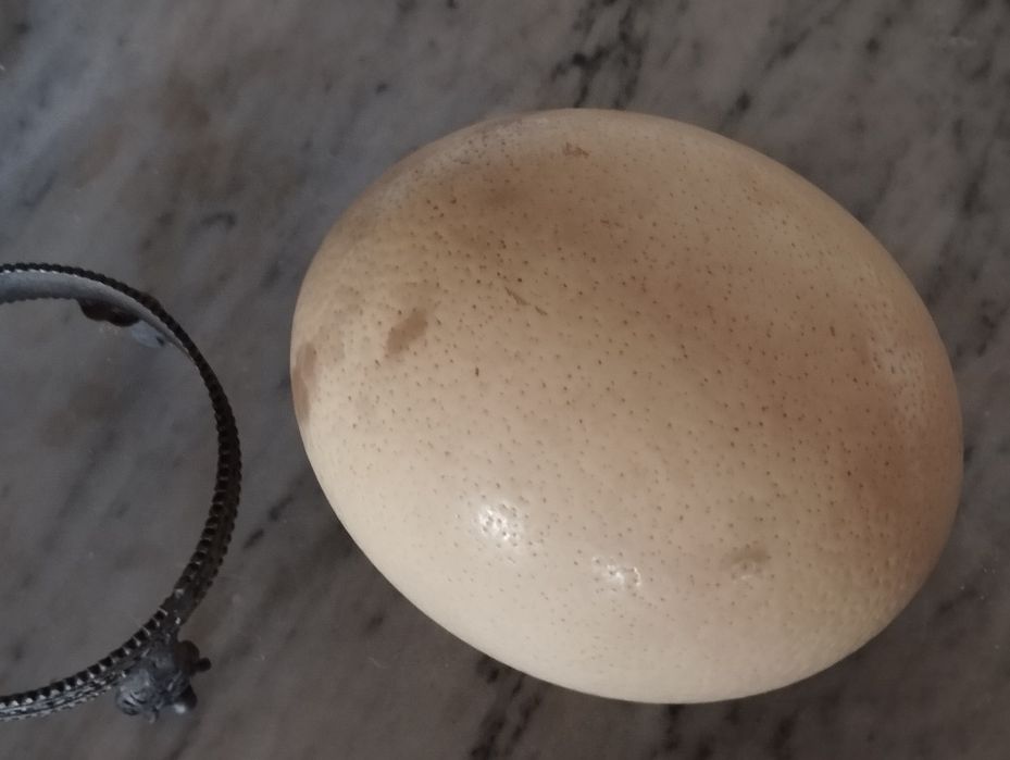 Ovo de Avestruz com Suporte Antigo