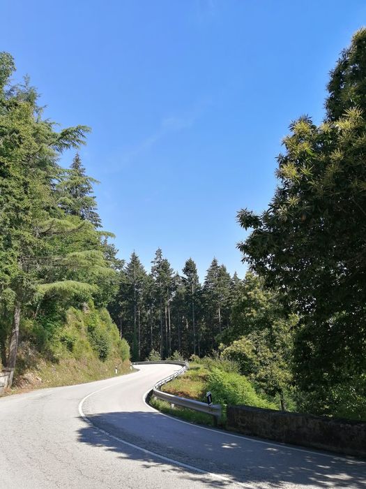 Guia turístico no norte de Portugal