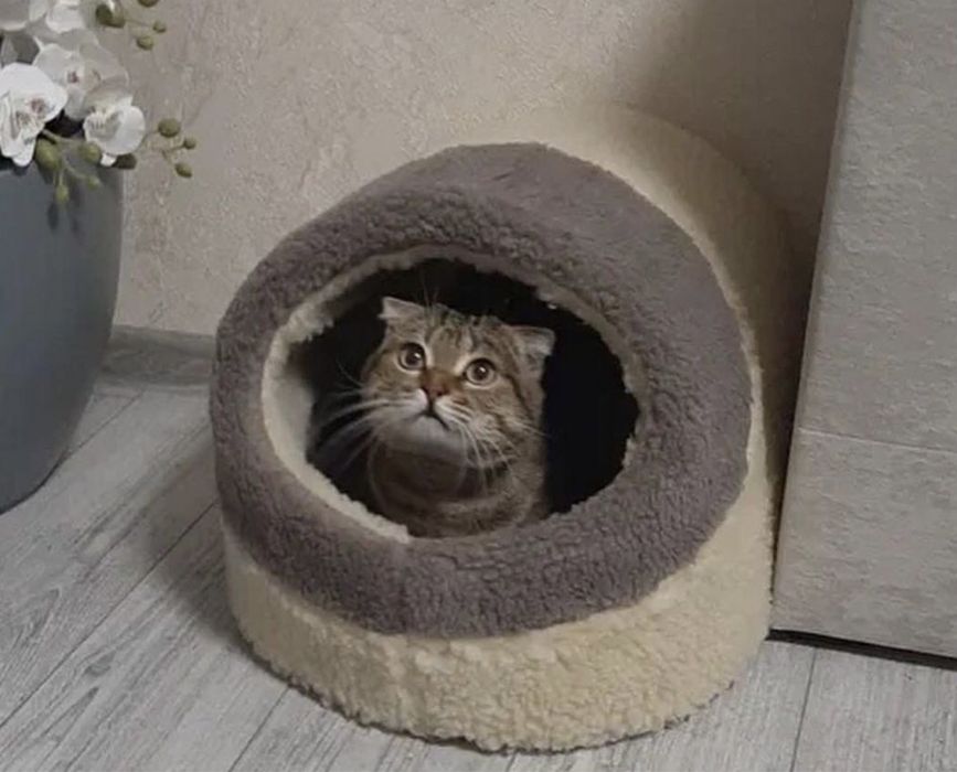 Хатинка будиночок домик лежанка лежак для котика собачки песика кошки