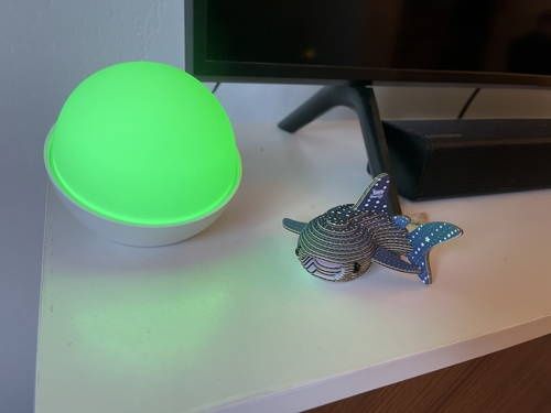 Glowcose - system monitorowania cukru