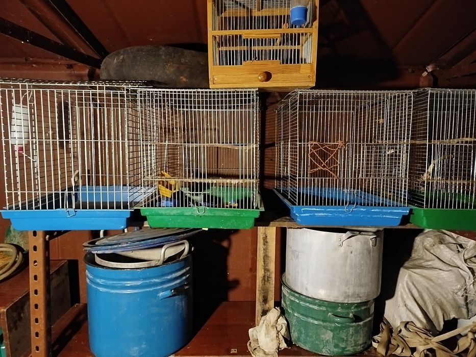 Клетки для птиц , б/у