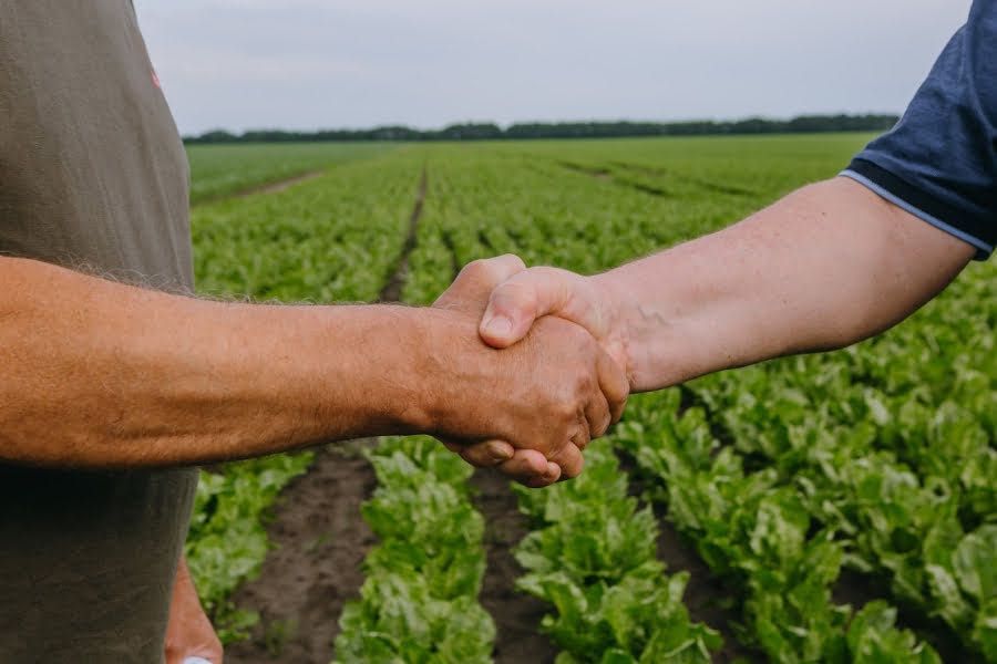 Беремо в оренду  земельні ділянки