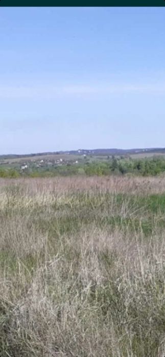 Продаж.Земельна ділянка в с.Басівка  70  соток