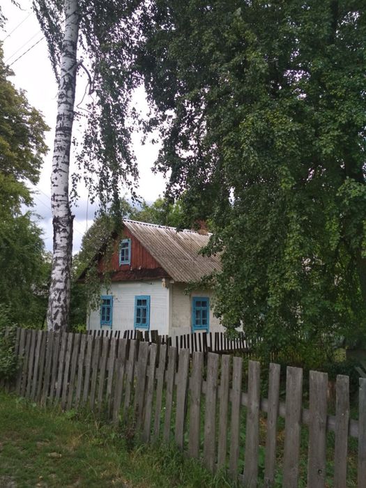 Будинок з ділянкою, хата