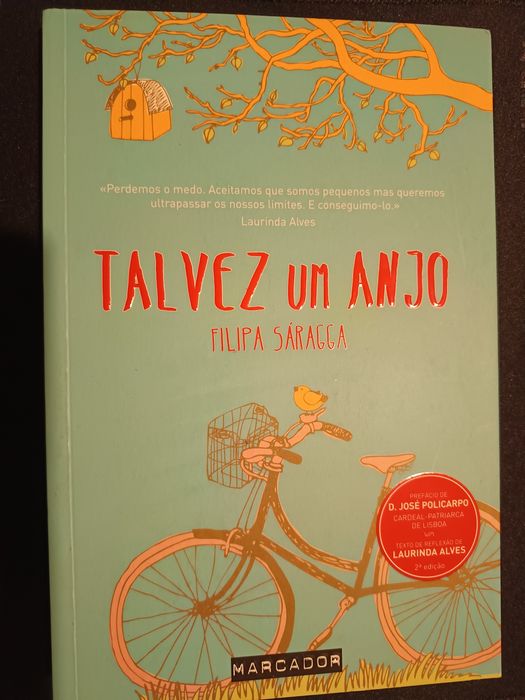 Livro "Talvez um Anjo"