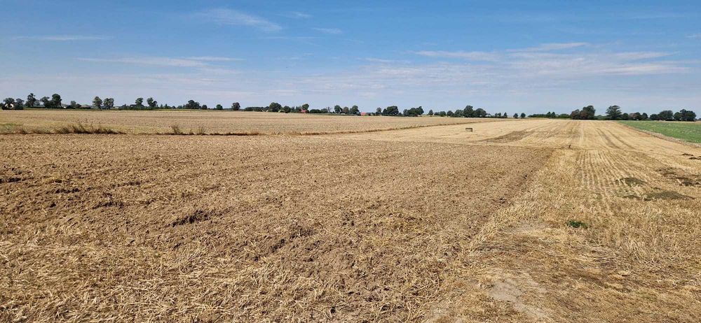 Twoje miejsce na dom, 1555 m² w cichej lokalizacji Kotomierz.
