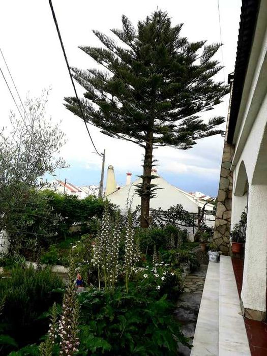 Moradia T2 c/ armazéns - Foros de vale de Figueira - Montemor-o-Novo