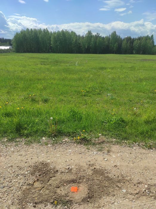 Atrakcyjna ostatnia działka na sprzedaż w Reglu.