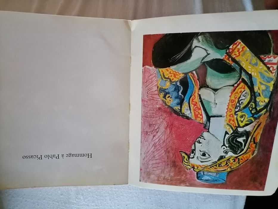 Raro Livro Homenage a PABLO PICASSO France 1966 Desrnas Ilustrações c/ 510 Páginas