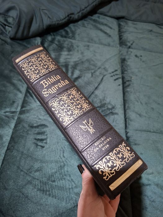 Biblia Sagrada ilustrada