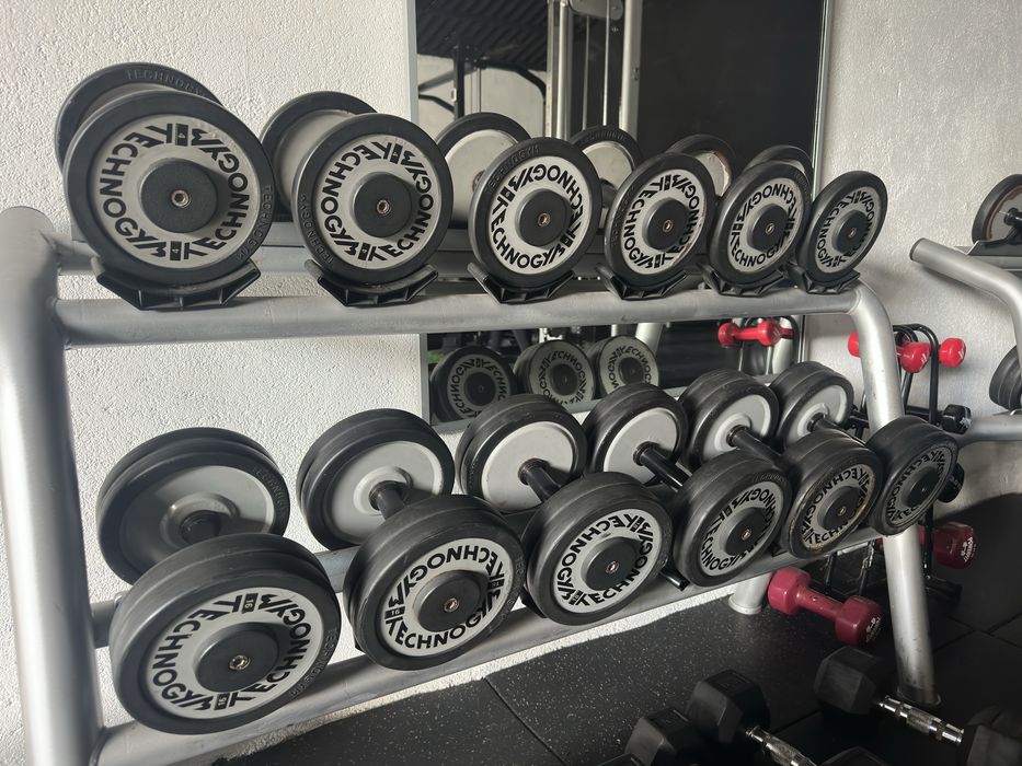 Halteres technogym