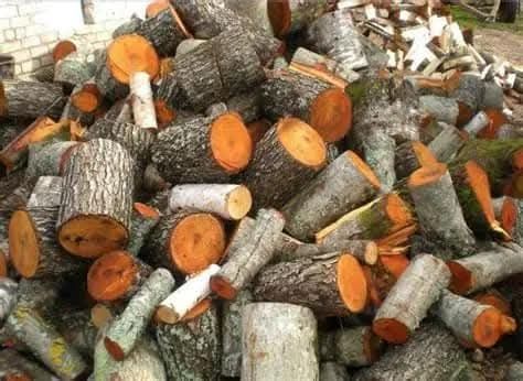 Дрова по безготівковому, готівковому рахунку для підприємств та домого