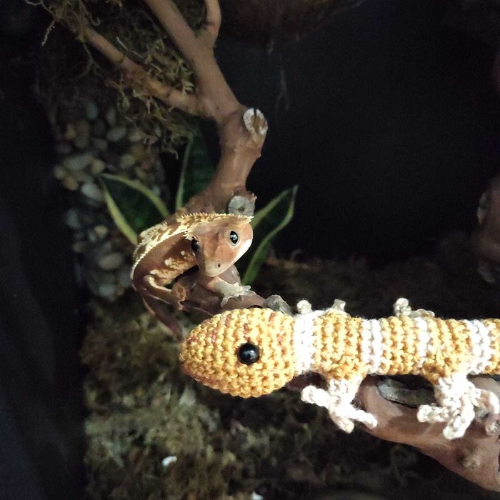 Amigurumi animal de estimação