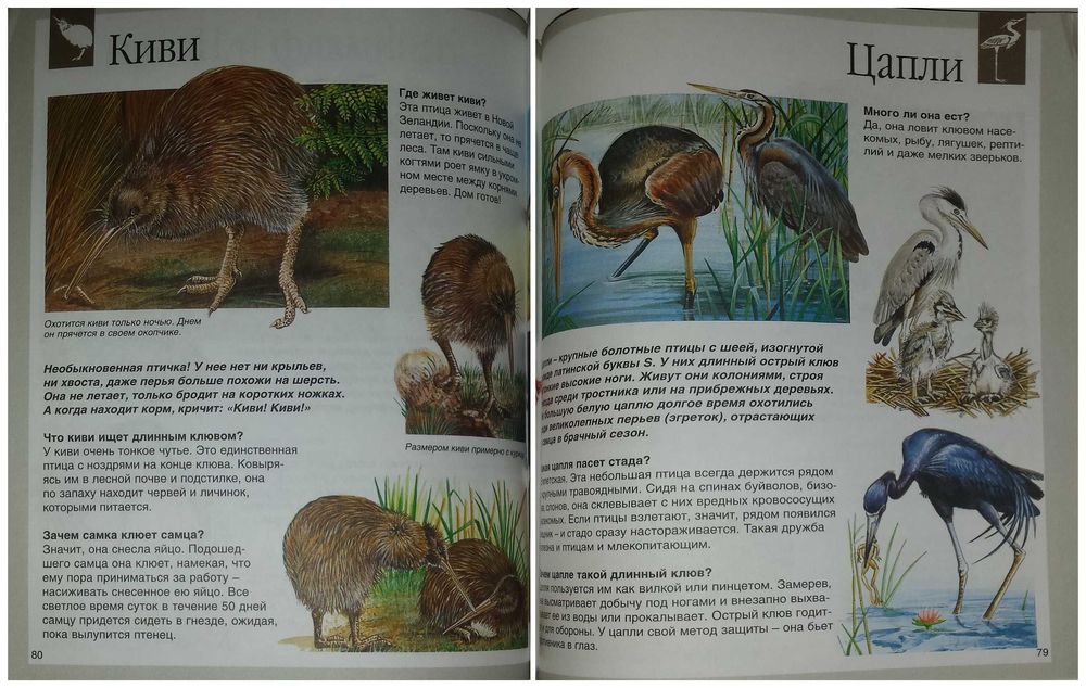 Детские книги Энциклопедии Животные енциклопедія Махаон