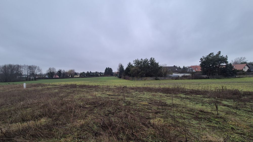 Działki Lulkowo / Kalina, gm. Gniezno MPZP prąd na działce PROMOCJA - Widok 3