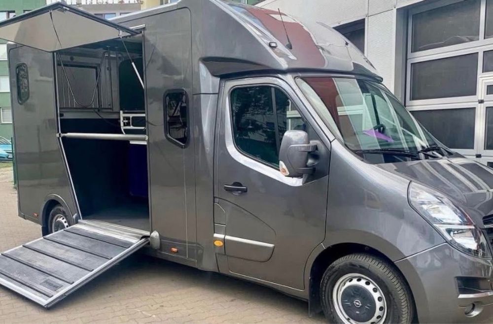 licencjonowany Transport koni