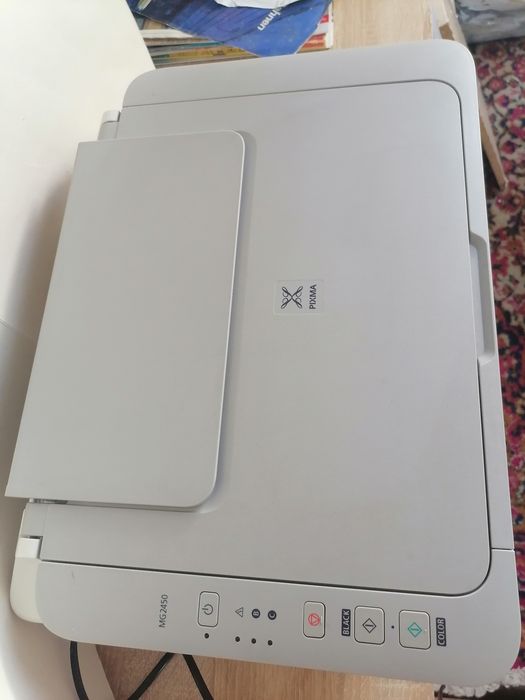 Drukarka canon pixma mg2450 uszkodzona