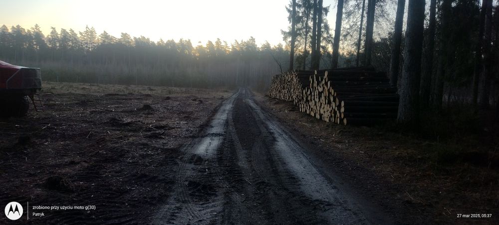 Wycinka  drzew Mulczowanie Czyszczenie działek