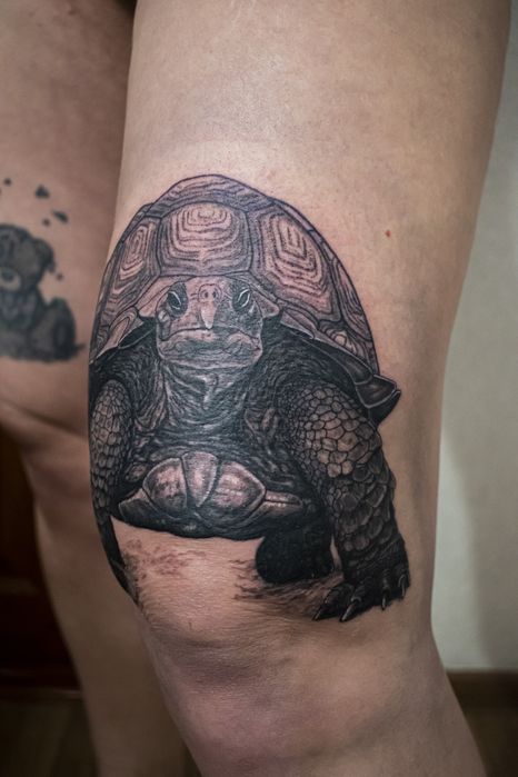 Татуировка, тату машинки