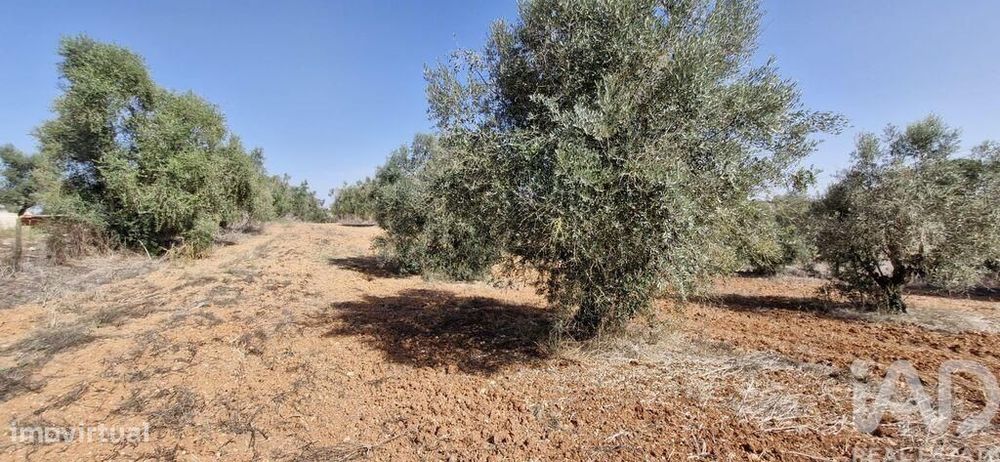 Terreno em Azambujeira e Malaqueijo de 12080,00 m2