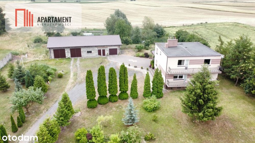Dom 156m² + Hala/Garaże  160m² | Działka 5800m² - Widok 4
