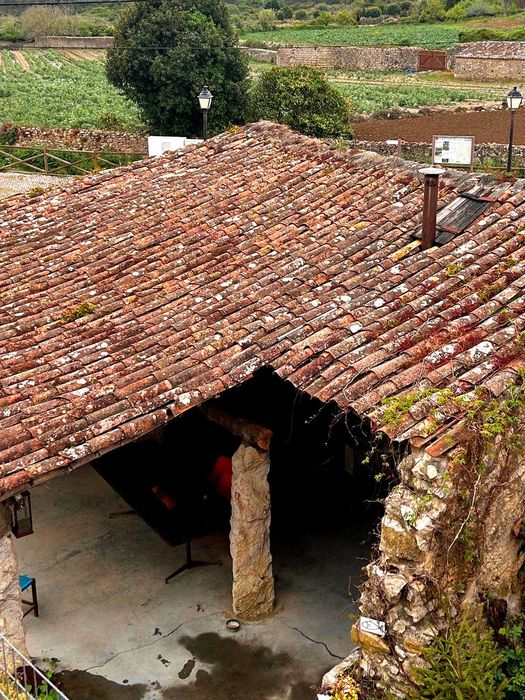 Telhas centenarias de canudo /meia cana