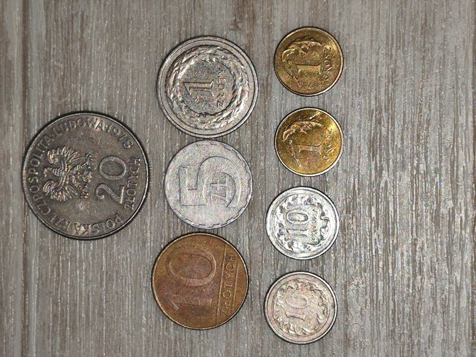 Польські монети Злоті