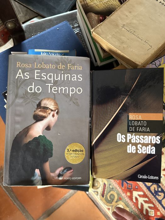 Rosa Lobato de Faria Books