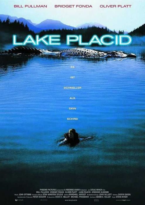 THE LAKE (Bridget Fonda/Bill Pullman) What Was That? NEW/SEALED64739010244993122