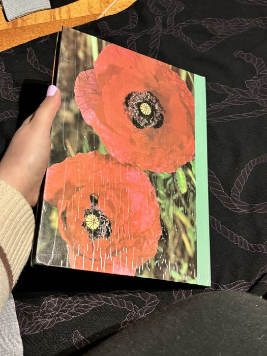 As plantas nossas amigas (Enciclopédia das plantas – Volume II)