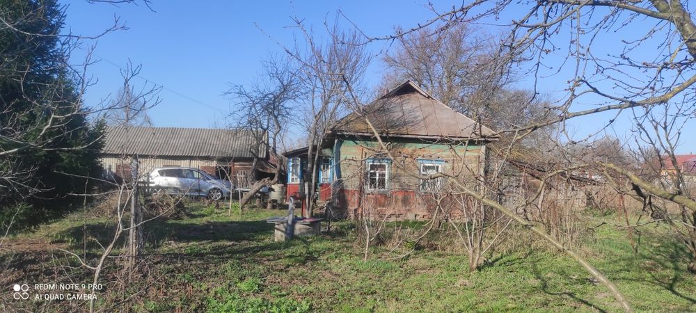 Продам будинок по близу Чернігова з доглянутим садом і городом.