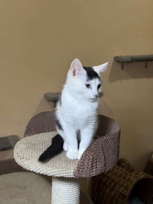 Классный Гарик в лучшую семью