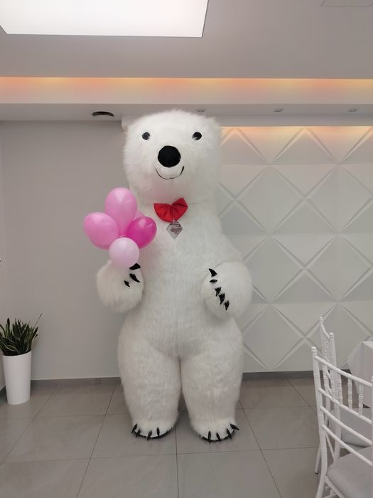 Biały Miś Teodor na imprezy