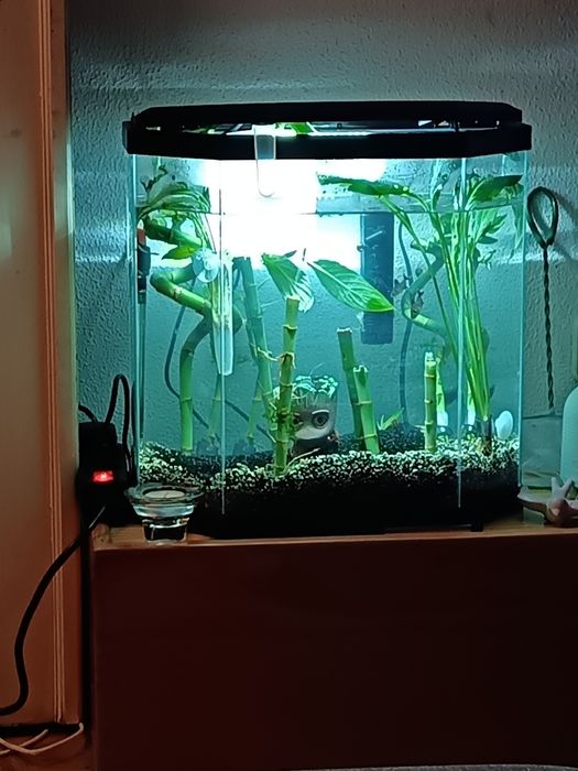Vendo aquário como novo