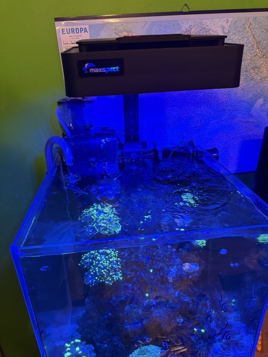 Akwarium morskie z calym sprzetem