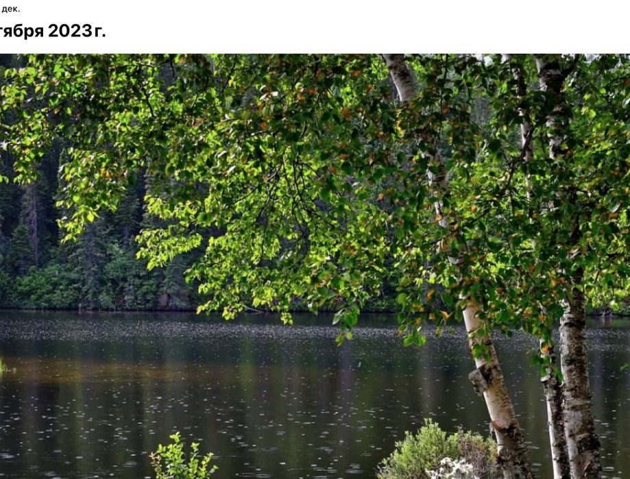 Земля, Романков, Обуховский, озеро, 11 000$ сотка , от 1 га до 2 га