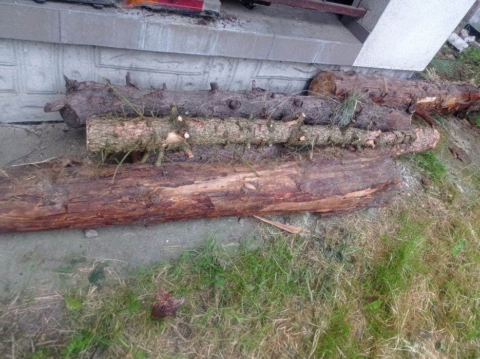 Drewno na zimę okazja