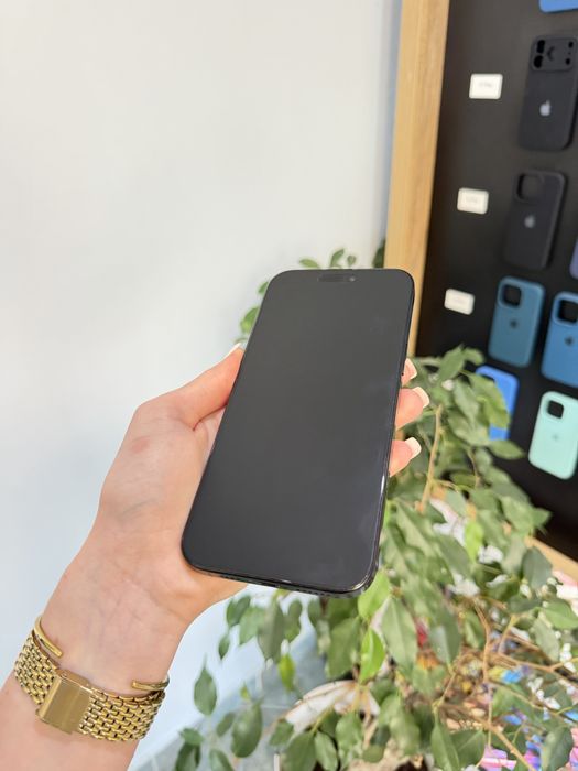 iPhone 16 Pro Max 256GB Black Titanium