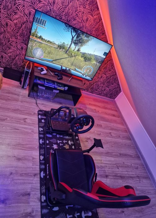 Playseat huzaro kierownica Logitech g29 drążek asettocorsa