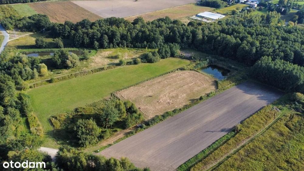 Działki Budowlane W Strzelcach, Gm. Dobroszyce