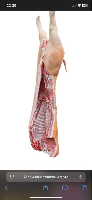 Свинина домашня , під замовлення