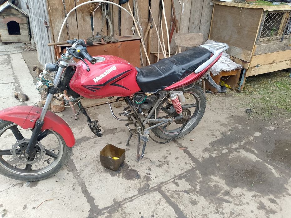 Продам мустанг 150