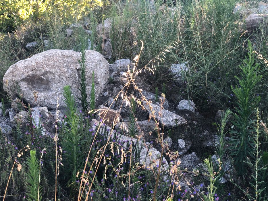 Pedra e Terra de desaterro de lote em Requião VNF