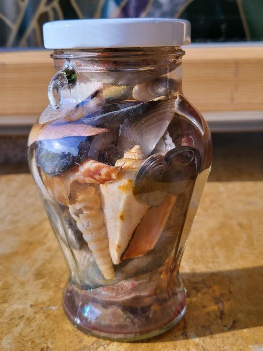 Морской подарок с ракушками