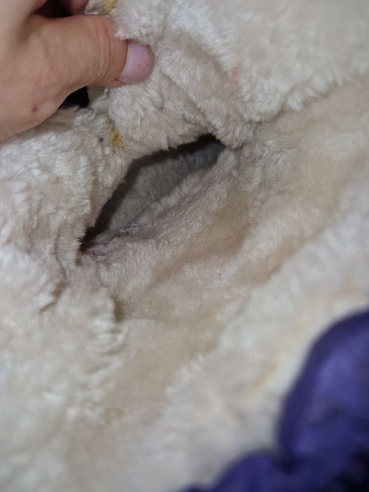 Чобітки 31-32розмір,зима