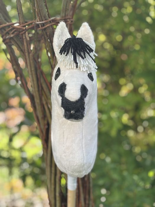 Hobby horse fiord