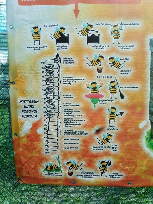 Продам смачний мед з Власної пасіки