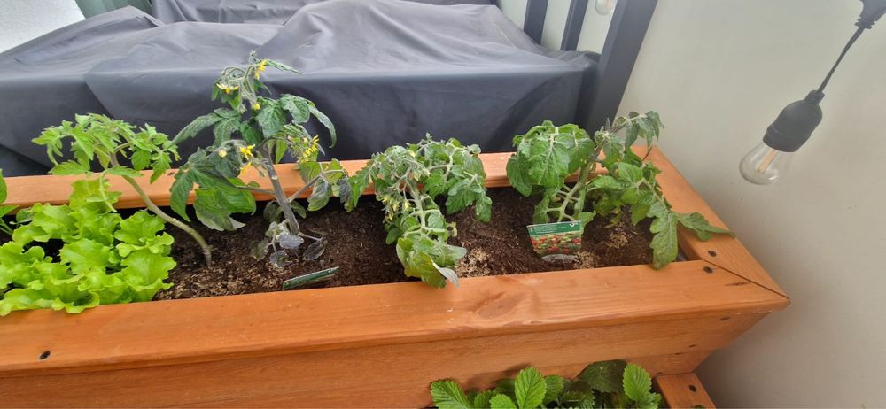 Donica balkonowa, ogrodowa